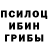 Псилоцибиновые грибы Cubensis SuperEleva