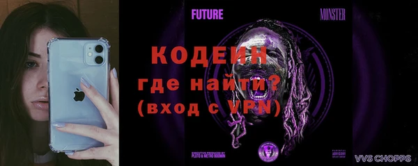 молекула духа Ростов
