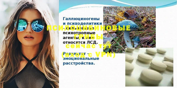 винт Алексин