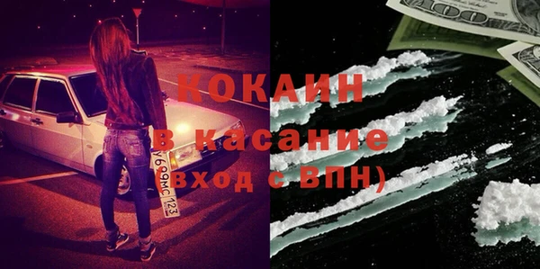 твердый Алзамай