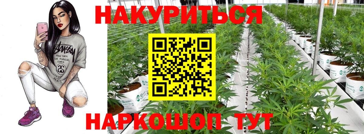 Бошки Шишки гибрид  Конопля план  Вход с VPN  Тара  Марихуана конопля  Каннабис гибрид 
